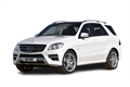 Стекло для фары Mersedes M-Class W166 (2011-2015) 2592 - фото 6142